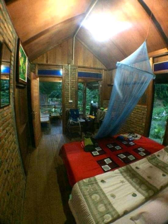 Thousand Hills Ketambe ,Room And Treking Lhokuenam Екстер'єр фото